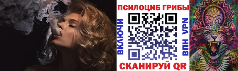 Псилоцибиновые грибы MAGIC MUSHROOMS  сколько стоит  Абакан 