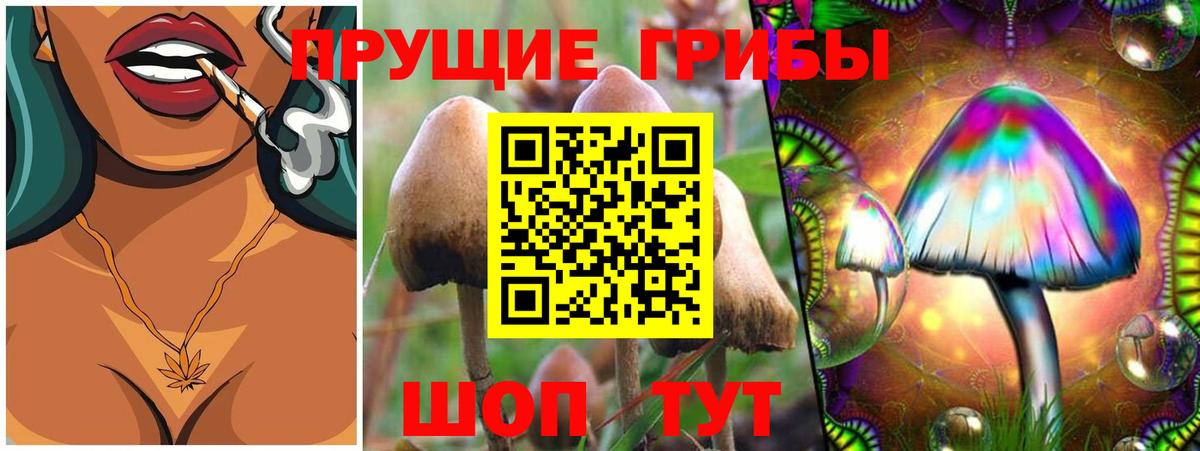 Галлюциногенные грибы Psilocybine cubensis  Вход с VPN  Абакан  Галлюциногенные грибы Magic Shrooms 